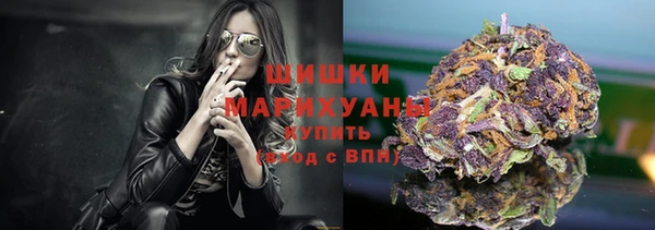 молекула духа Бронницы