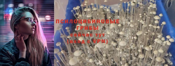 молекула духа Бронницы